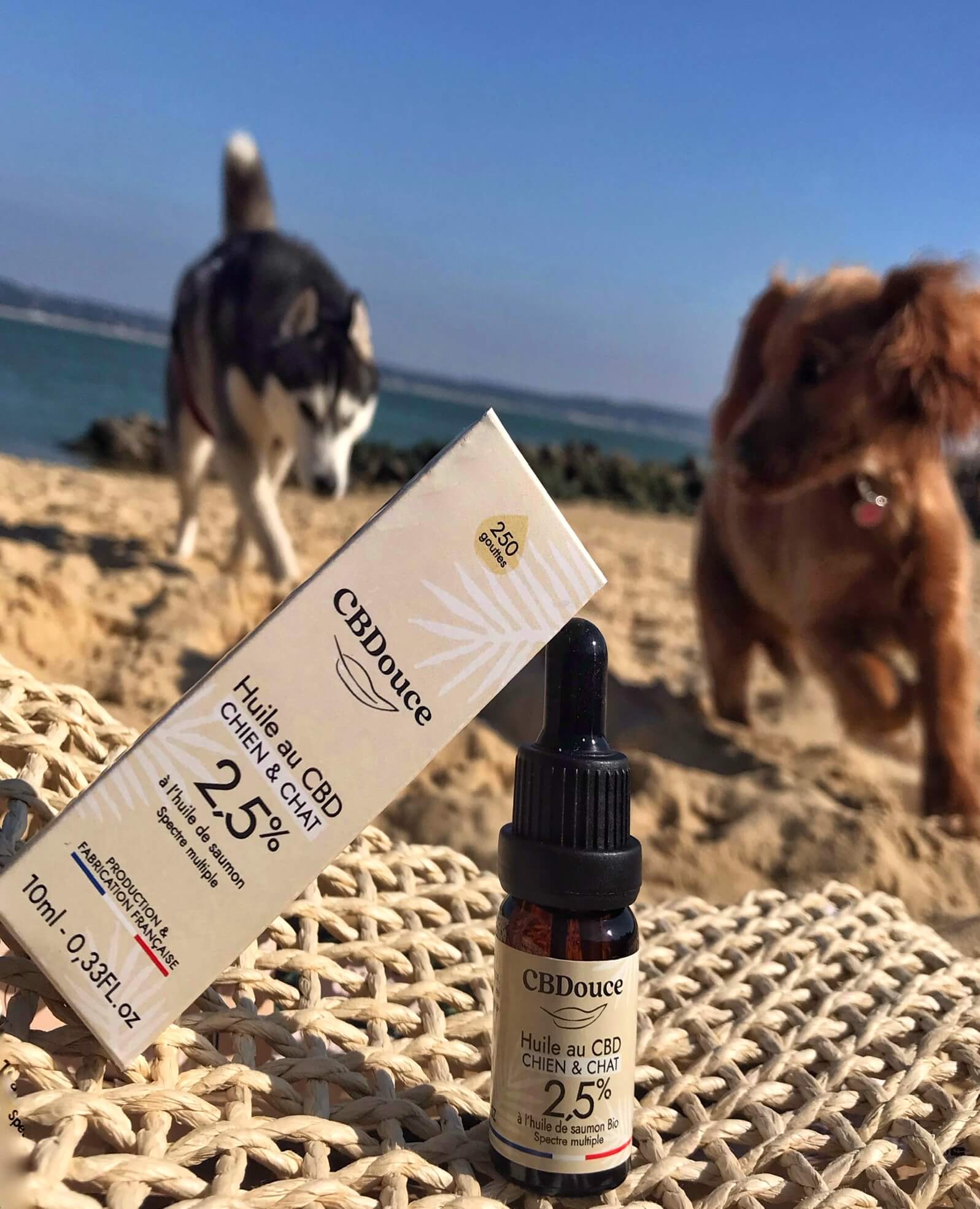 Huile au CBD 2,5% pour votre animal chien et chat