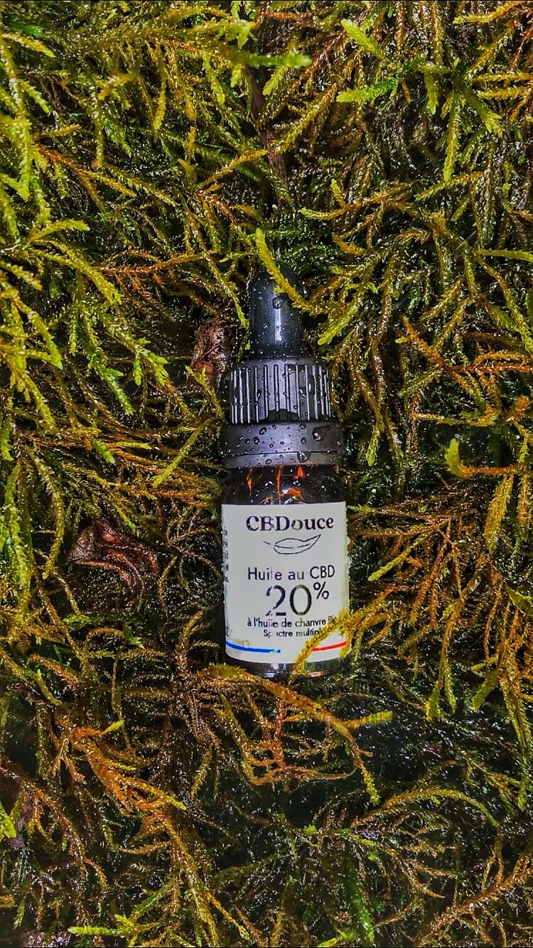 huile cbd 20
