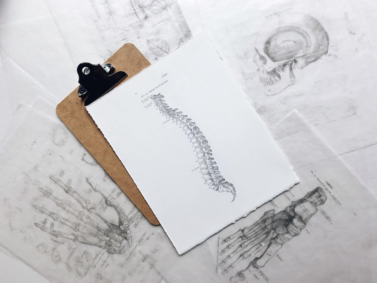 You are currently viewing Le CBD et la fibromyalgie : un soulagement des symptômes ?