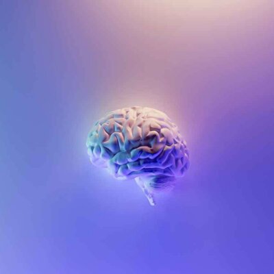 CBD et Alzheimer