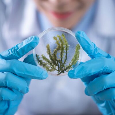 Qu&rsquo;est-ce que le CBD synthétique ?