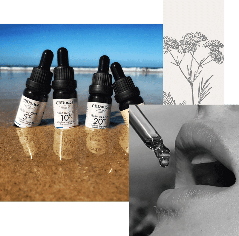 cbdouce huile CBD BIO
