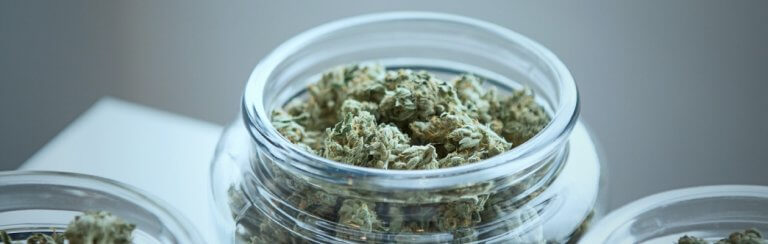 cbd demence