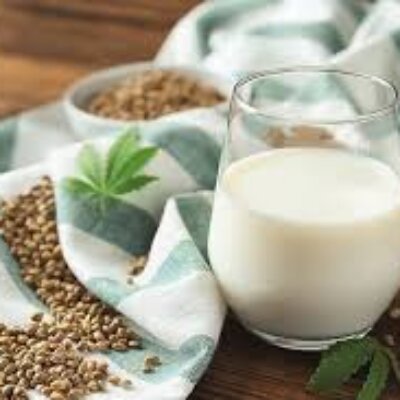 Le lait de chanvre, la nouvelle alternative de lait végétal