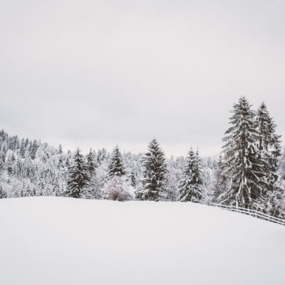 Le CBD en Hiver : Comment Il Peut Devenir Votre Allié Bien-Être pendant les Mois Froids