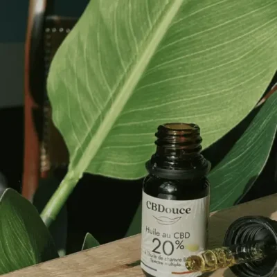 Qu&rsquo;est-ce que le CBD ? Définition Complète par des Experts de la Santé