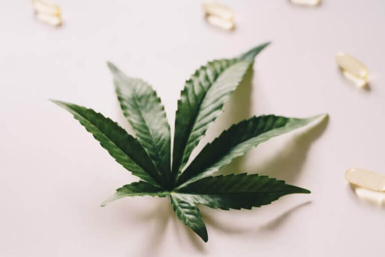 Effets secondaires du CBD : ce qu’il faut savoir en 2025​