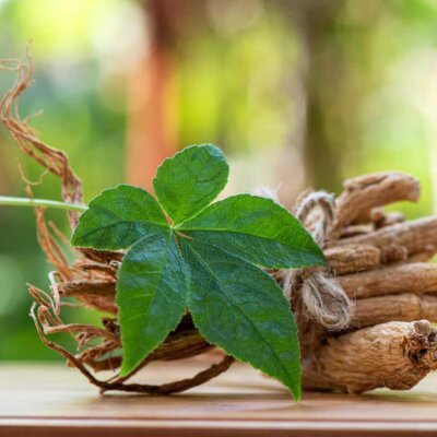 Adaptogènes : Ginseng, Rhodiola, Eleuthérocoque — Lequel choisir ?