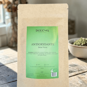 Infusion ANTIOXYDANTE Bio · Rooibos Vert & Fruits ·
