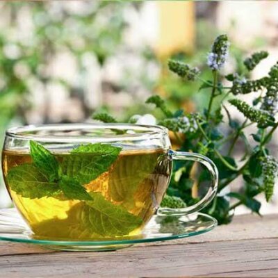 Les 10 meilleures plantes détoxifiantes et comment les infuser correctement — DOUCYA