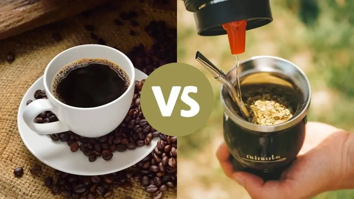You are currently viewing Maté ou Café : Quelles différences pour votre rituel du matin ?