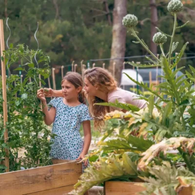 Slow Living et Santé Naturelle : Pourquoi Ralentir est le Premier Acte de Soin