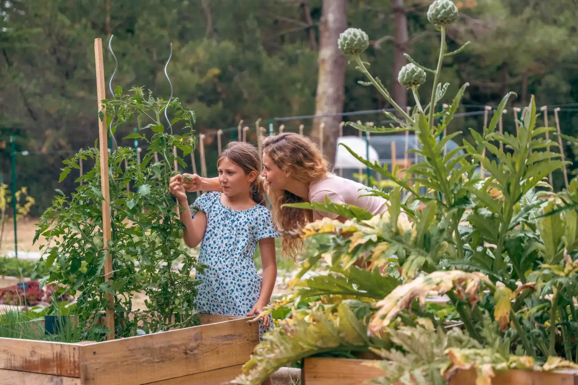 You are currently viewing Slow Living et Santé Naturelle : Pourquoi Ralentir est le Premier Acte de Soin