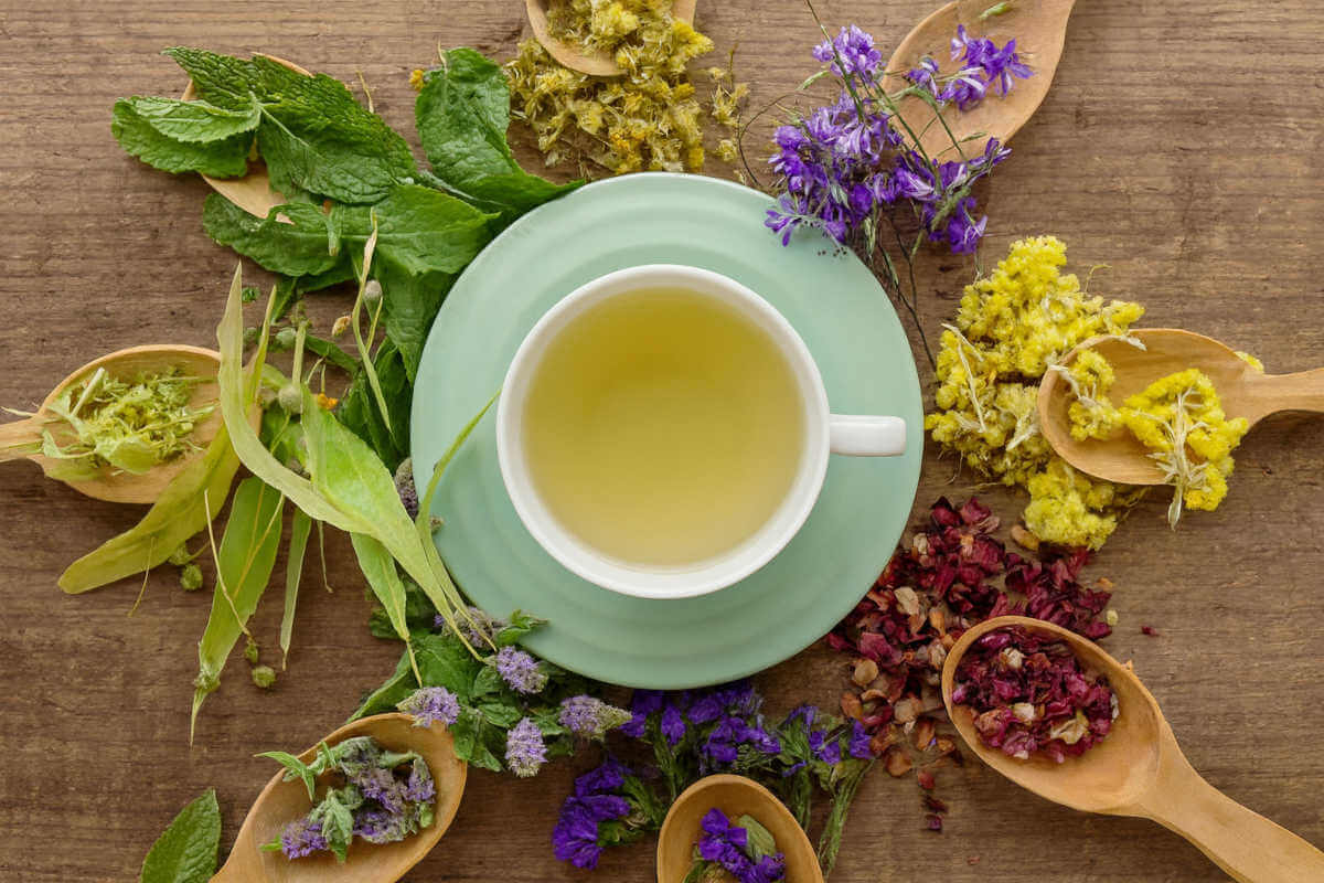 You are currently viewing Stress et Système Nerveux : Les Plantes qui régulent Sans Accoutumance